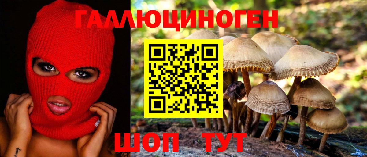 Зеленогорск  Псилоцибиновые грибы Psilocybe  Галлюциногенные грибы GOLDEN TEACHER  Вход с VPN 